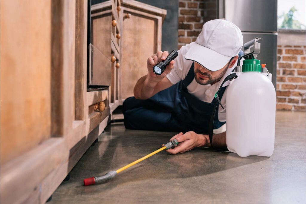 How to Keep Mosquitoes Away From Your Home
