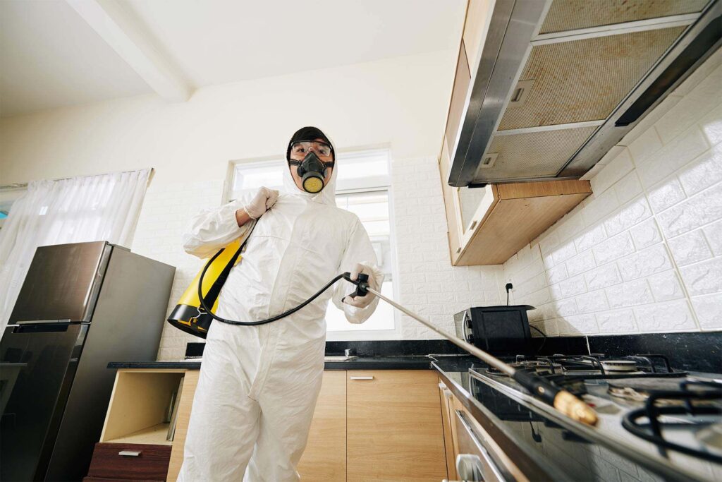 Signs You May Have a Termite Problem in Your Home